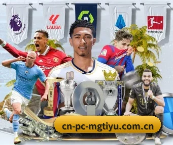 cn-pc-mgtiyu.com.cn APP